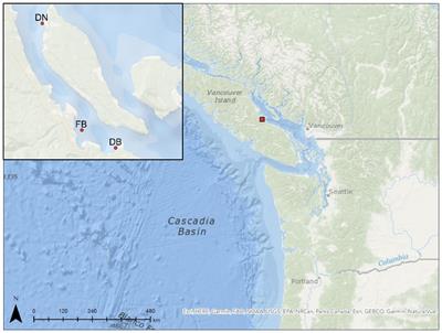 Development of a nature-based solution for mitigation of Pacific oyster summer mortality: use of the intertidal zone to improve resilience to environmental stressors